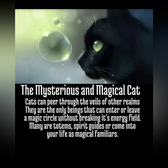 $6 Moon Stone Cat and Moon Necklace. $6 if bundled - Picture 11 of 15